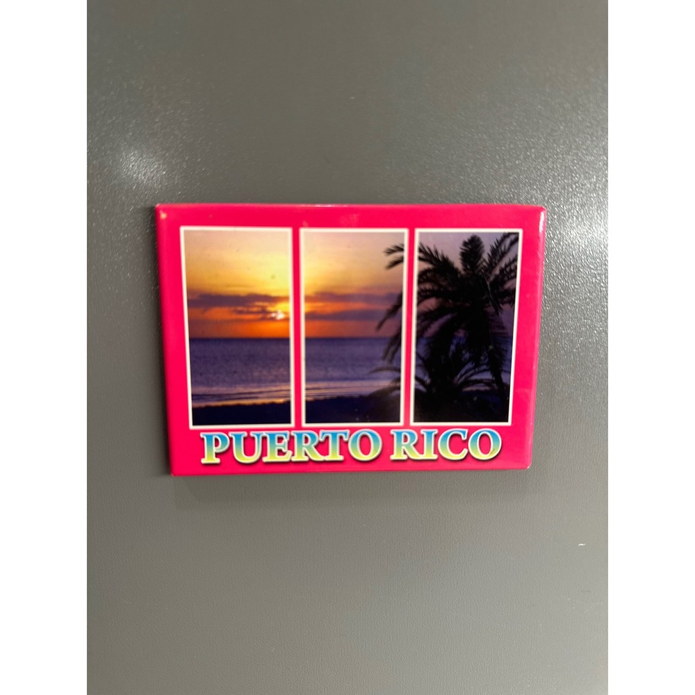 Puerto Rico Tropical Sunset Beach Palm Tree Rectangle Magnet Souvenir